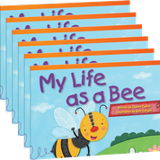 My Life as a Bee 6-Pack