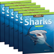Amazing Animals: Sharks: Skip Counting 6-Pack