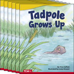 Tadpole Grows Up 6-Pack