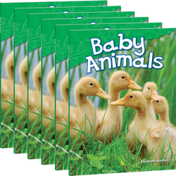 Baby Animals 6-Pack