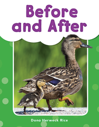 Before and After ebook