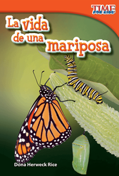 La vida de una mariposa (A Butterfly's Life) (Spanish Version)