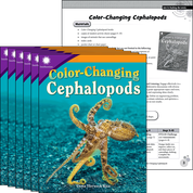 Color-Changing Cephalopods 6-Pack