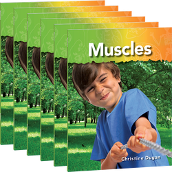 Muscles 6-Pack