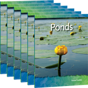 Ponds 6-Pack