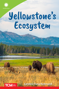 Yellowstone's Ecosystem