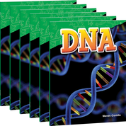 DNA 6-Pack