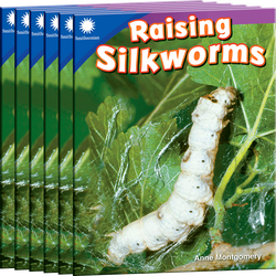 Raising Silkworms Guided Reading 6-Pack