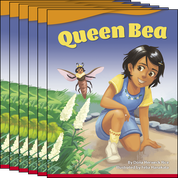 Queen Bea 6-Pack