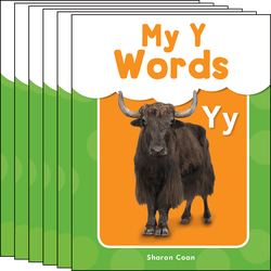 My Y Words Guided Reading 6-Pack