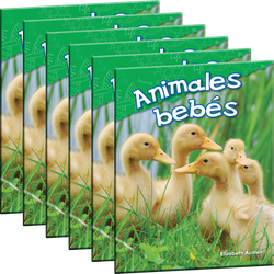Animales bebés 6-Pack