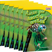 ¡Locos por insectos y arañas! (Going Buggy) 6-Pack