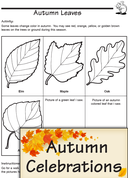 Autumn Celebrations: Leaves and Other Themed Activities