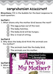 Are You My Mother? Comprehension Assessment