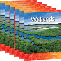 Wetlands 6-Pack