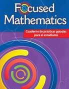 Focused Mathematics Intervention: Student Guided Practice Book Level K (Spanish Version)