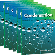 Condensation 6-Pack