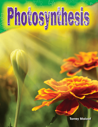 Photosynthesis ebook