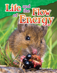 Life and the Flow of Energy ebook