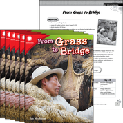 From Grass to Bridge 6-Pack
