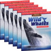 Amazing Animals: Wild Whales: Addition and Subtraction 6-Pack