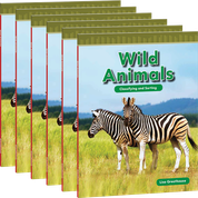 Wild Animals 6-Pack