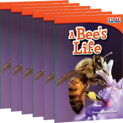 A Bee's Life 6-Pack