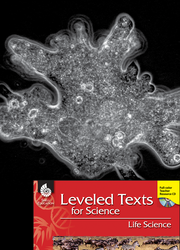 Leveled Texts: Microscopic Behavior