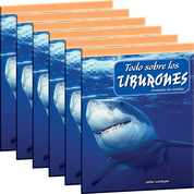 Todo sobre los tiburones (All About Sharks) 6-Pack