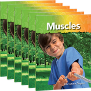 Muscles 6-Pack