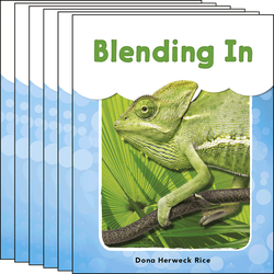 Blending In Guided Reading 6-Pack