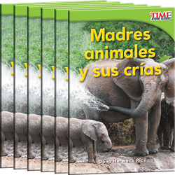 Madres animales y sus crías Guided Reading 6-Pack