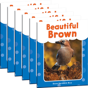 Beautiful Brown 6-Pack