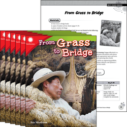 From Grass to Bridge 6-Pack