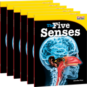 The Five Senses 6-Pack