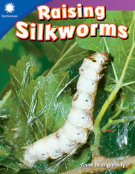 Raising Silkworms ebook