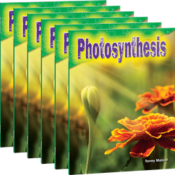 Photosynthesis 6-Pack