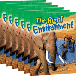 The Right Environment 6-Pack