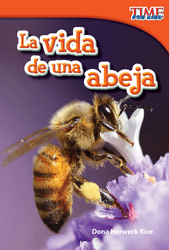 La vida de una abeja