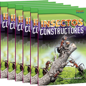 Insectos constructores 6-Pack