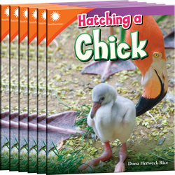 Hatching a Chick Guided Reading 6-Pack