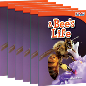 A Bee's Life 6-Pack