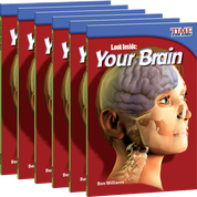 Look Inside: Your Brain 6-Pack