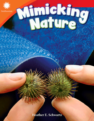 Mimicking Nature ebook
