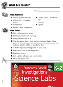 Quick Science Lab: What Are Fossils? Grades K-2