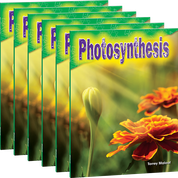 Photosynthesis 6-Pack
