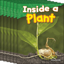 Inside a Plant Guided Reading 6-Pack