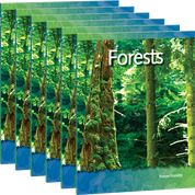 Forests 6-Pack