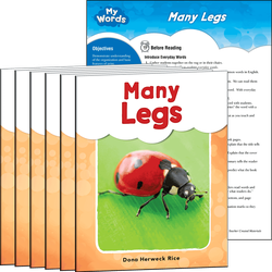 Many Legs 6-Pack