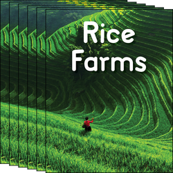 Rice Farms 6-Pack